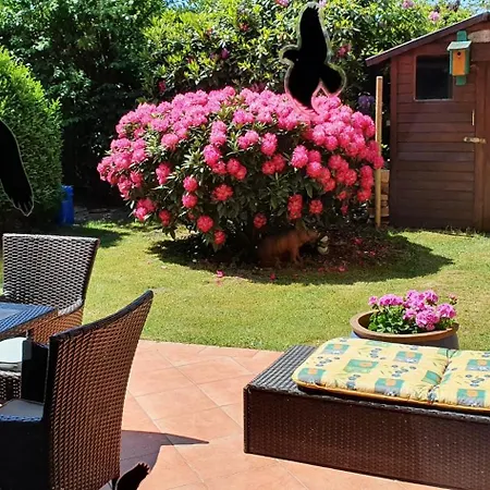 Apartament Erika *